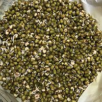 自发绿豆芽的做法图解2