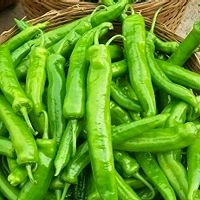 辣椒炒毛鱼的做法图解3