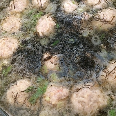 发菜生汆丸子汤