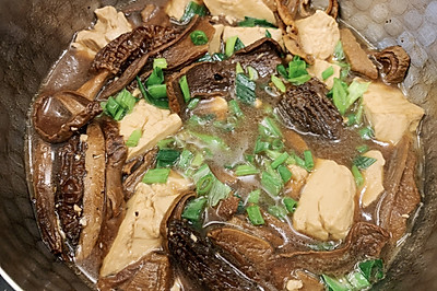 牛肝菌&羊肚菌炖豆腐
