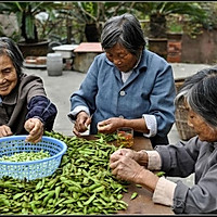 西塘笋丝青豆的做法图解1