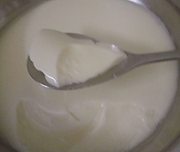 姜汁牛奶炖蛋的做法