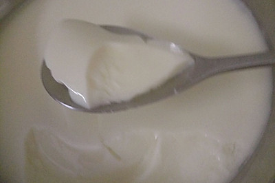 姜汁牛奶炖蛋