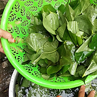 红薯叶饼的做法图解1