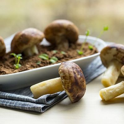 饭合 | 蘑菇小豆包