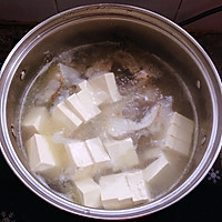 鲈鱼豆腐汤的做法图解8