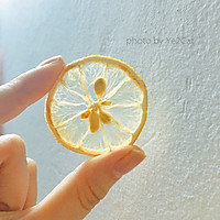 柠檬橙片 烘焙出纯天然健康果茶的做法图解3