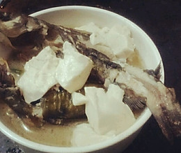 灰灰的昂刺鱼炖豆腐的做法