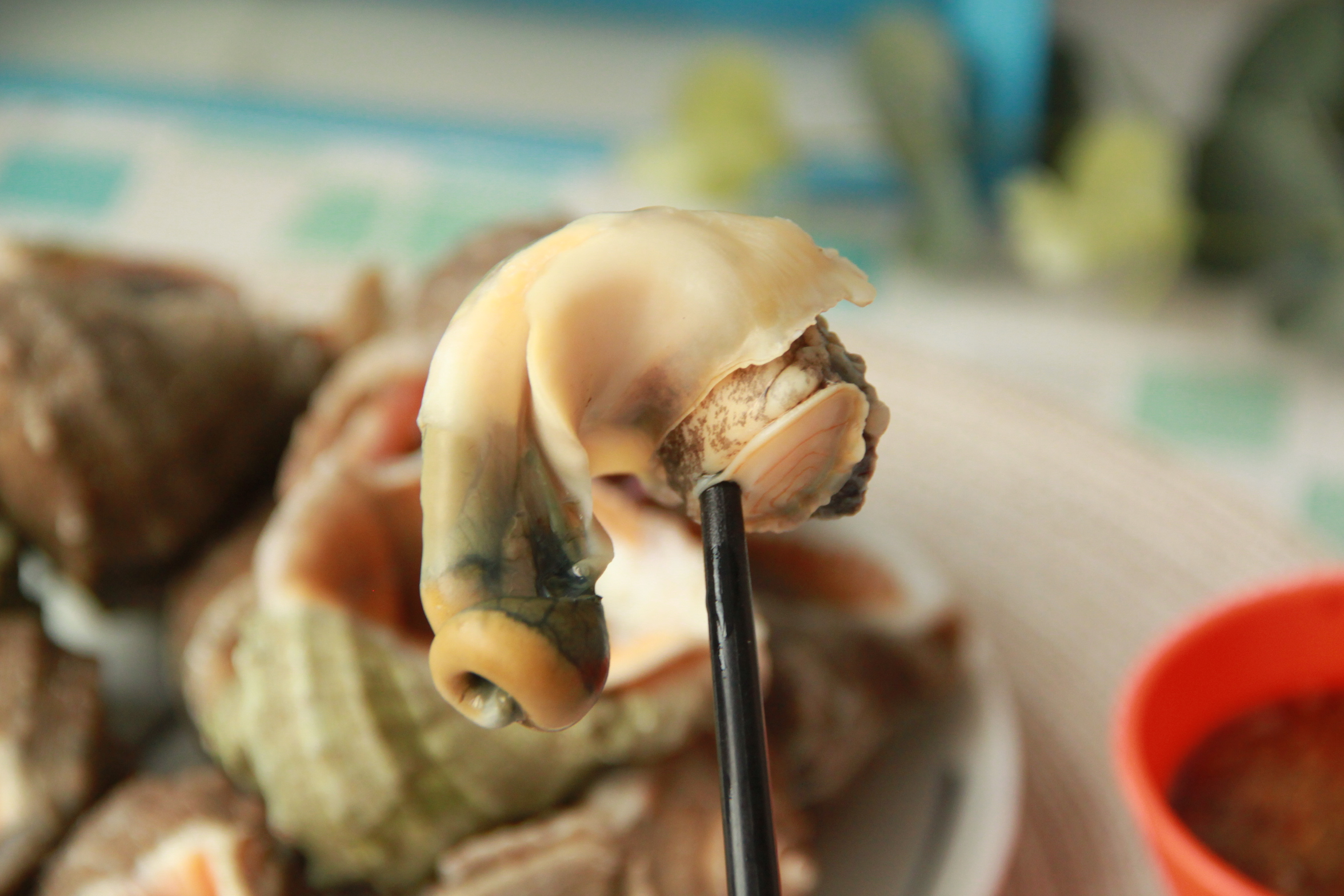 煮海螺怎么做_煮海螺的做法_家和万事兴顺顺顺_豆果美食