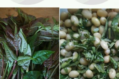 香椿豆～春天的菜～超简单的美味