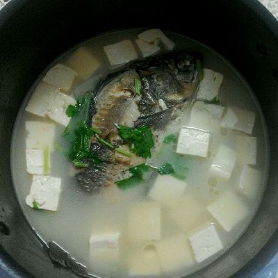 秋、冬季鲫鱼豆腐汤