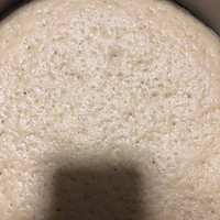 老面发面葱花饼的做法图解1