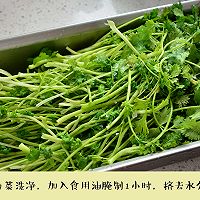 香菜青椒牛肉馅饼的做法图解1