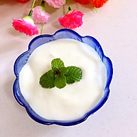 奶粉版自制酸奶的做法图解17