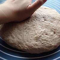 黑啤全麦面包Stout Bread（附Boule整型手法）的做法图解3