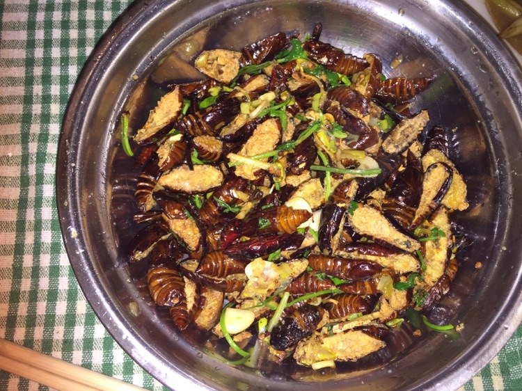 干煸茧蛹子的做法图解11
