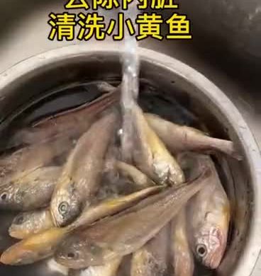 红烧深海小黄花鱼、无小刺肉质细嫩非常适合小孩子吃