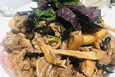 紫苏焖鸭，绝配！！！