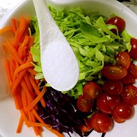 初春蔬菜沙拉的做法图解10