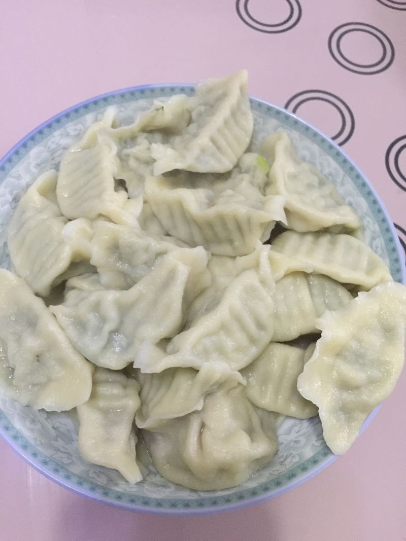 茴香鲜肉饺子