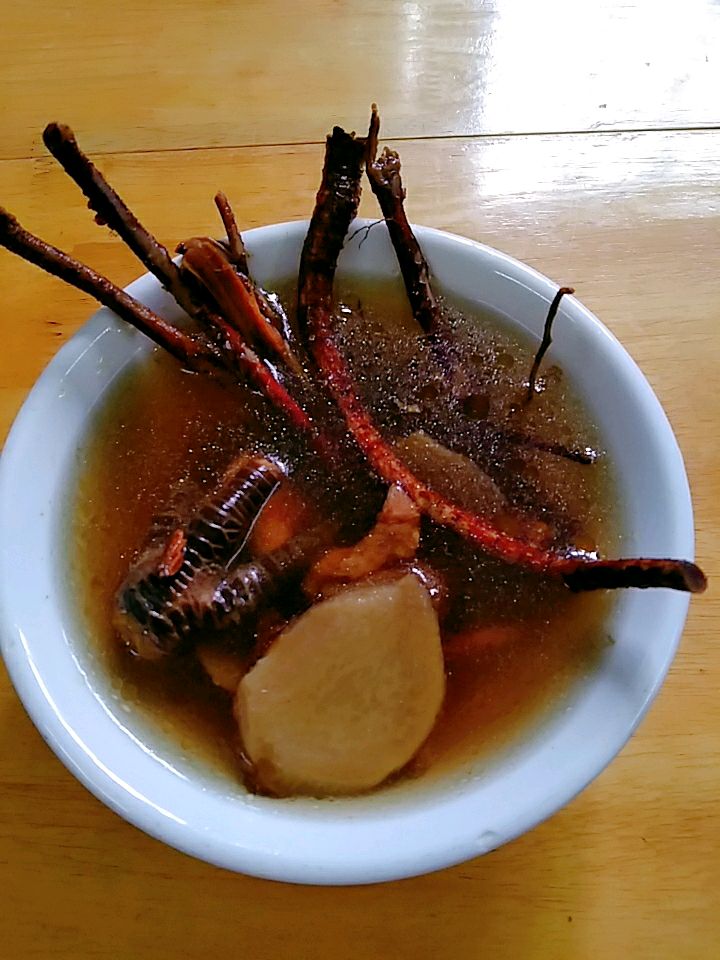 五指毛桃核桃炖鸡(五指毛桃功效非常强大)的做法