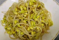 素炒黄豆芽的做法