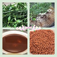壮族三月三-五色糯米饭的做法图解6