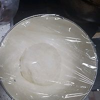 梅子春饼的做法图解1