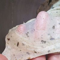 芝麻海苔吐司的做法图解4