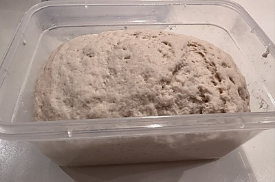 老面肥 老面引子