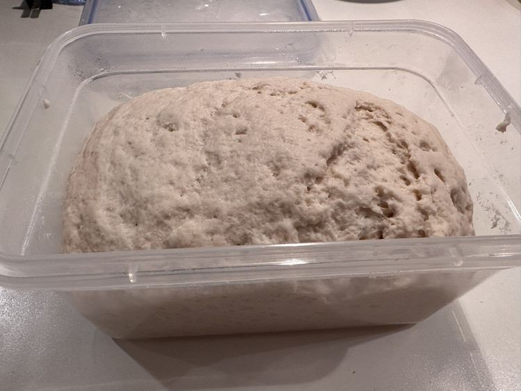 老面肥 老面引子的做法