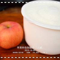 苹果酸奶的做法图解2