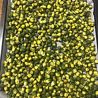 自制菊花茶的做法图解4