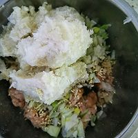 猪肉白菜大葱饺子的做法图解5