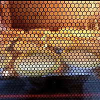 炼乳蔓越莓蛋挞的做法图解6