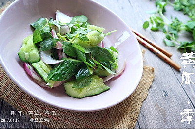 荆芥洋葱拌黄瓜