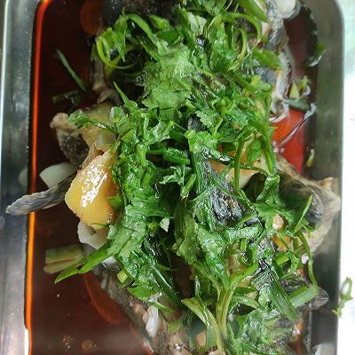 清蒸石斑鱼
