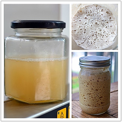 天然酵母100%-50%水粉比转换（液态鲁邦种）制作葡萄干菌水