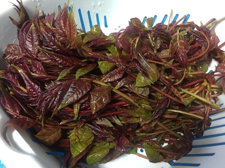 香椿头炒蛋的做法