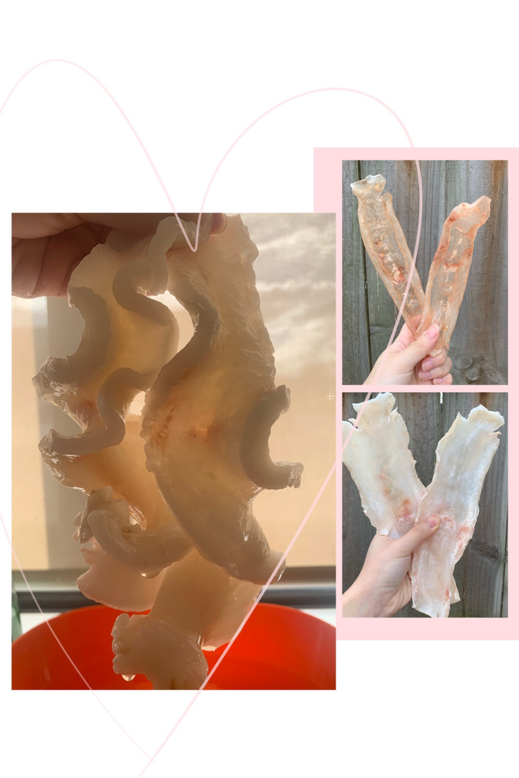 ❓❓新西兰鱼胶怎么泡发的做法