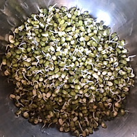 绿豆芽成长记的做法图解5