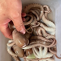 麻辣八爪鱼的做法图解1