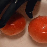 日食记 | 番茄炸蛋的做法图解2