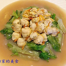 蚝油蛤蜊生菜
