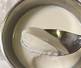 川秀自制酸奶的做法
