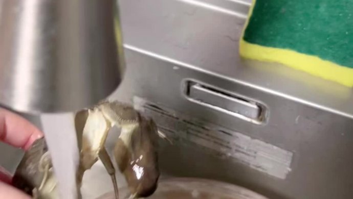红烧捞汁大闸蟹