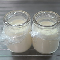 用烤箱制作健康营养的酸奶的做法图解5