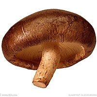 香菇酿豆腐（全素）的做法图解1