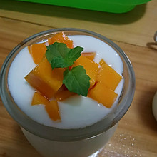 超级简单的自制酸奶