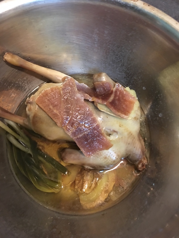 清蒸鸽子